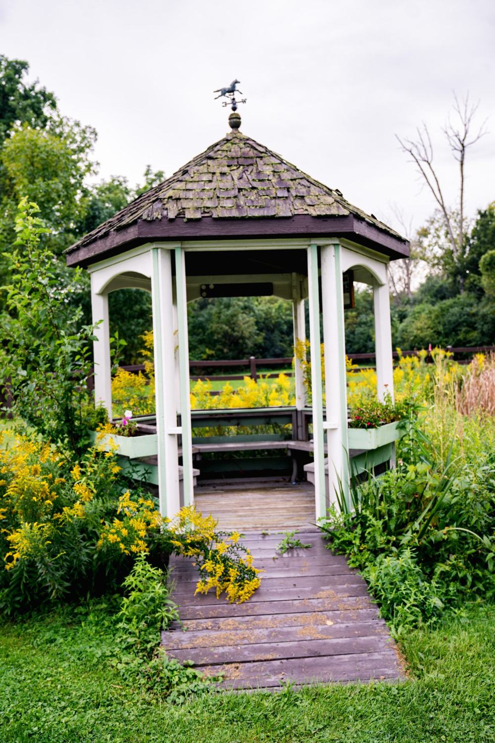 Gazebo on the Providence Farm grounds next to the forest preserve